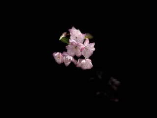 EE67395D-F4F1-4678-A0D6-DDD172E4FBD1/L0/001