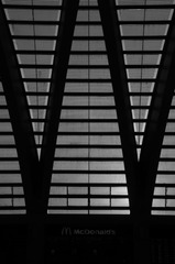 IMGP4997.PEF.jpg