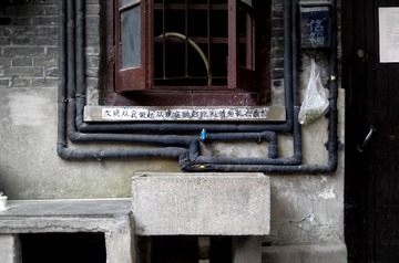 IMGP5170.JPG