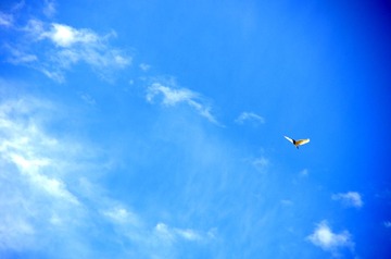 IMGP7709.JPG