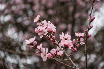 A8B1C357-8FB4-4DF3-8CAA-DB9B40349736/L0/001