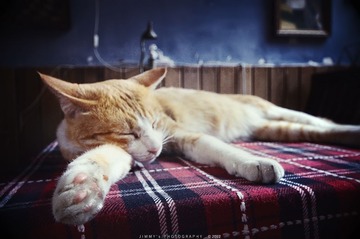 DSC_1900.jpg