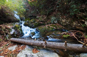 DSC_3383.jpg