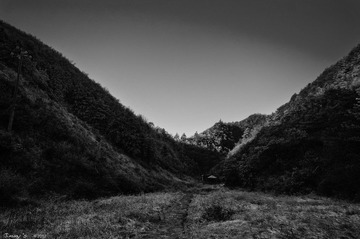 DSC_3446-2.jpg