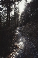 DSC_3506.jpg