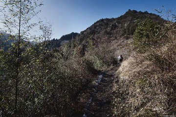 DSC_3516.jpg
