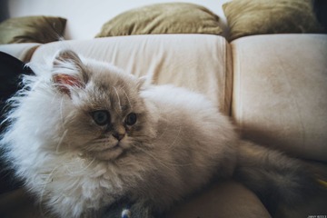 DSC_1199.jpg