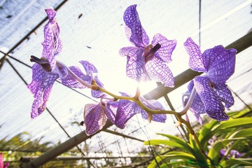 DSC_2654.jpg