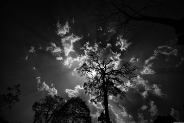 DSC_2862_2.jpg