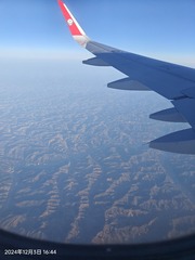 1000690251