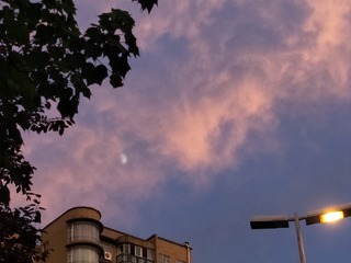 597