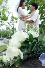 2ADFB8F7-9279-4EF7-964D-2863FCBE093B/L0/001