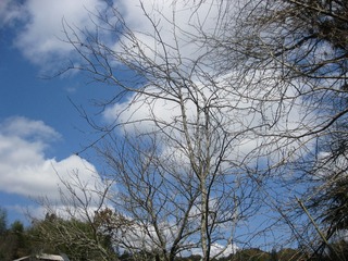 86A9A602-AAC8-4C7A-AC04-16081A960037/L0/001
