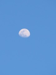 2101151