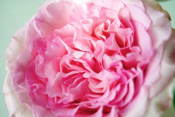 3D5454FD-A433-43F7-9448-0B06D70641FE/L0/001