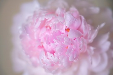 96793E37-BD48-4D21-9A89-E69091C0813D/L0/001