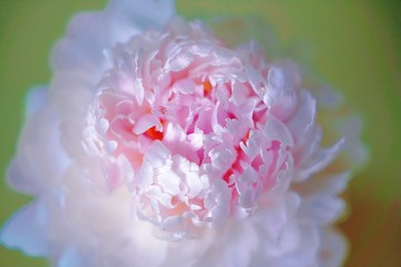 79BBB2B3-88A6-4D98-ABC8-0AD18D80C961/L0/001