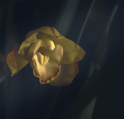 001