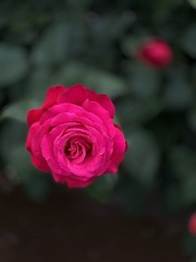 A333EDE2-F556-45CC-B8E9-60991C0F6A91/L0/001