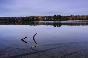 _DSC0612.jpg