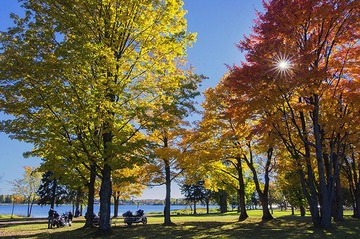 _DSC0923.jpg