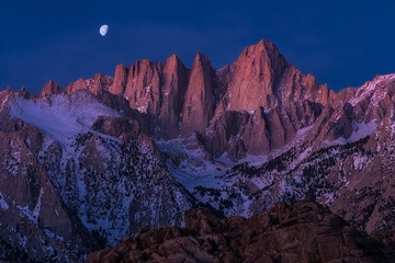 Moonlit-Needles