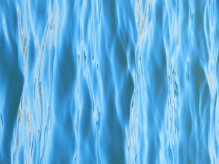 1000002791
