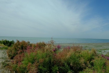 淡水湖.JPG