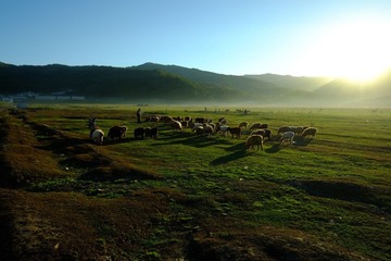 喀纳斯5.JPG