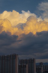 3534D595-8689-4B6A-947E-064AEC0232A9/L0/001