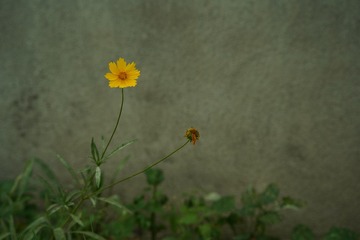 DB19A248-2A6B-4228-A0F3-D4485AD8D87E/L0/001