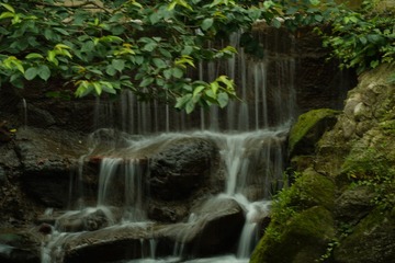 9B90800A-036F-49F9-9F0A-52764DA614B7/L0/001