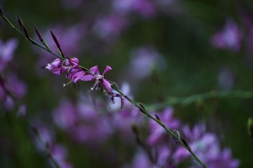 C132004E-8584-44F2-8479-A6532447A939/L0/001