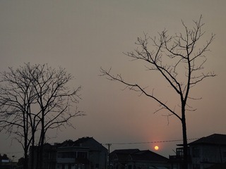 1000030693