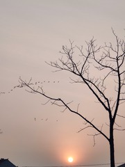 1000030687