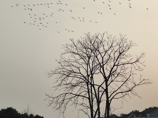 1000030688