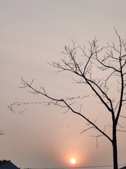 1000030685