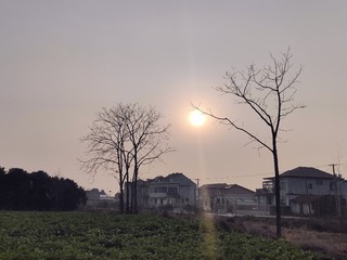 1000030674