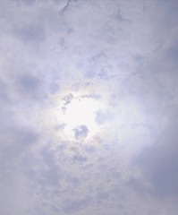 1175893