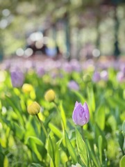 A360CA16-9804-415D-8668-E229641D54DB/L0/001