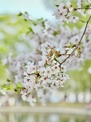 99BB5AA8-8A56-4184-B81B-80683F940F5E/L0/001