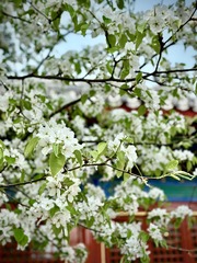 8817BDA6-C160-4D2B-A6AD-A69BA43D8833/L0/001