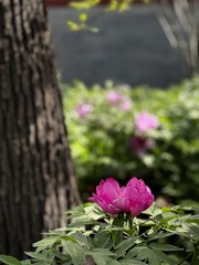 91063E14-8630-423B-A173-E361FF66DB90/L0/001