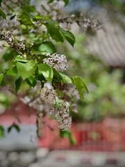 74260594-81D2-4C80-AA8D-DB68219888B9/L0/001
