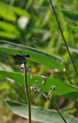 CZH_4871 (2)