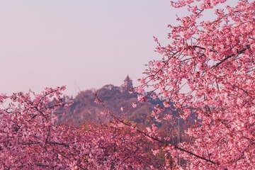 190250