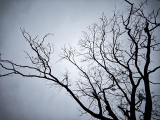 1000065280