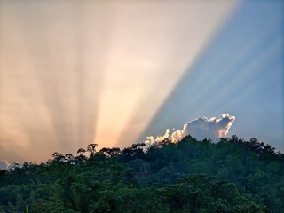 1000050904