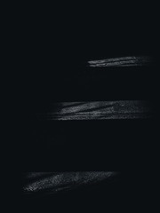 1000059411