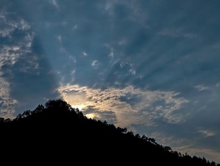 1000033090